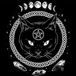 Meet your Posher, Brittney